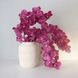 Deep Magenta Phalaenopsis Orchid 34"