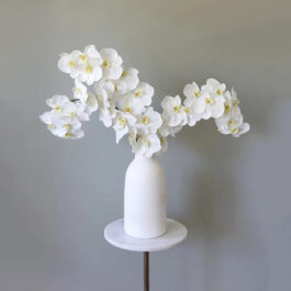 Large White Orchid Phalaenopsis 34″